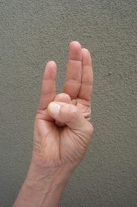 Surya Mudra (Mudra of Sun)